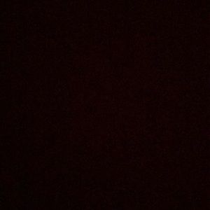 Meet your Posher, Lily